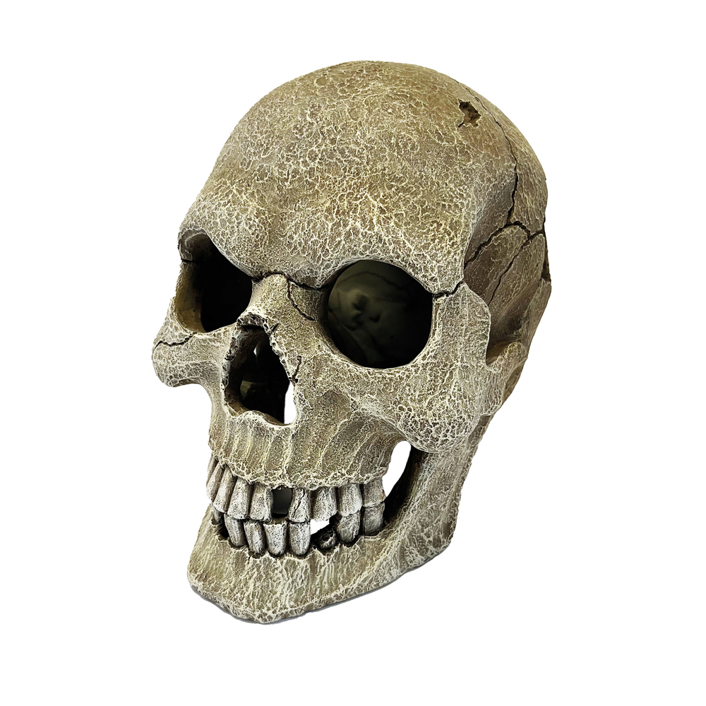 Décoration pour reptiles Repto Human Skull, crâne taille XL