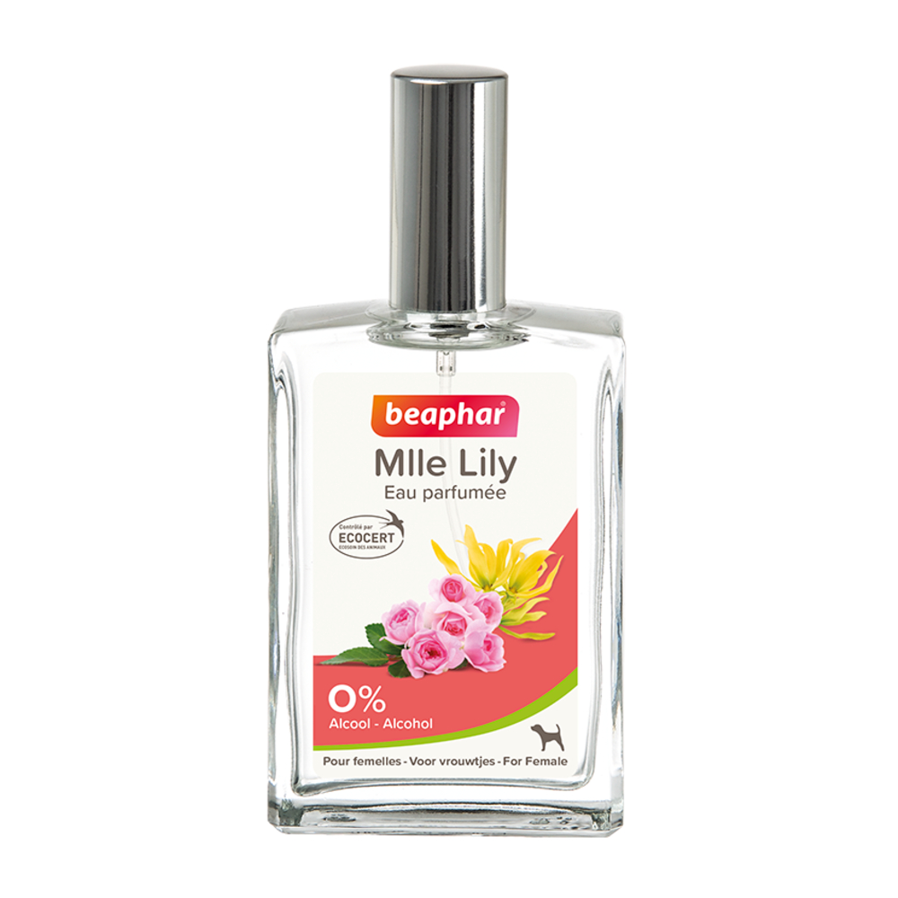 Eau parfumée Mlle Lilly pour chien femelle - 50 ml
