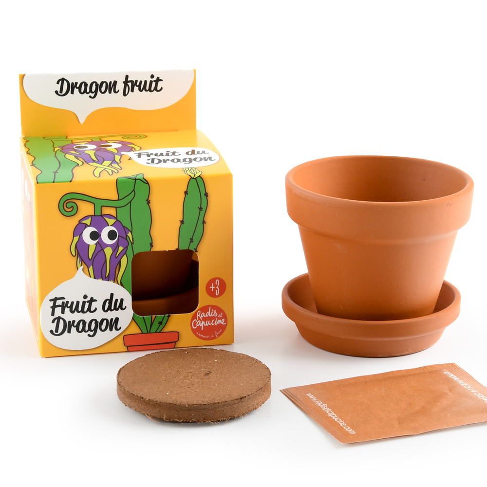 Kit de plantation pot en terre cuite Fruit du Dragon - D.8cm