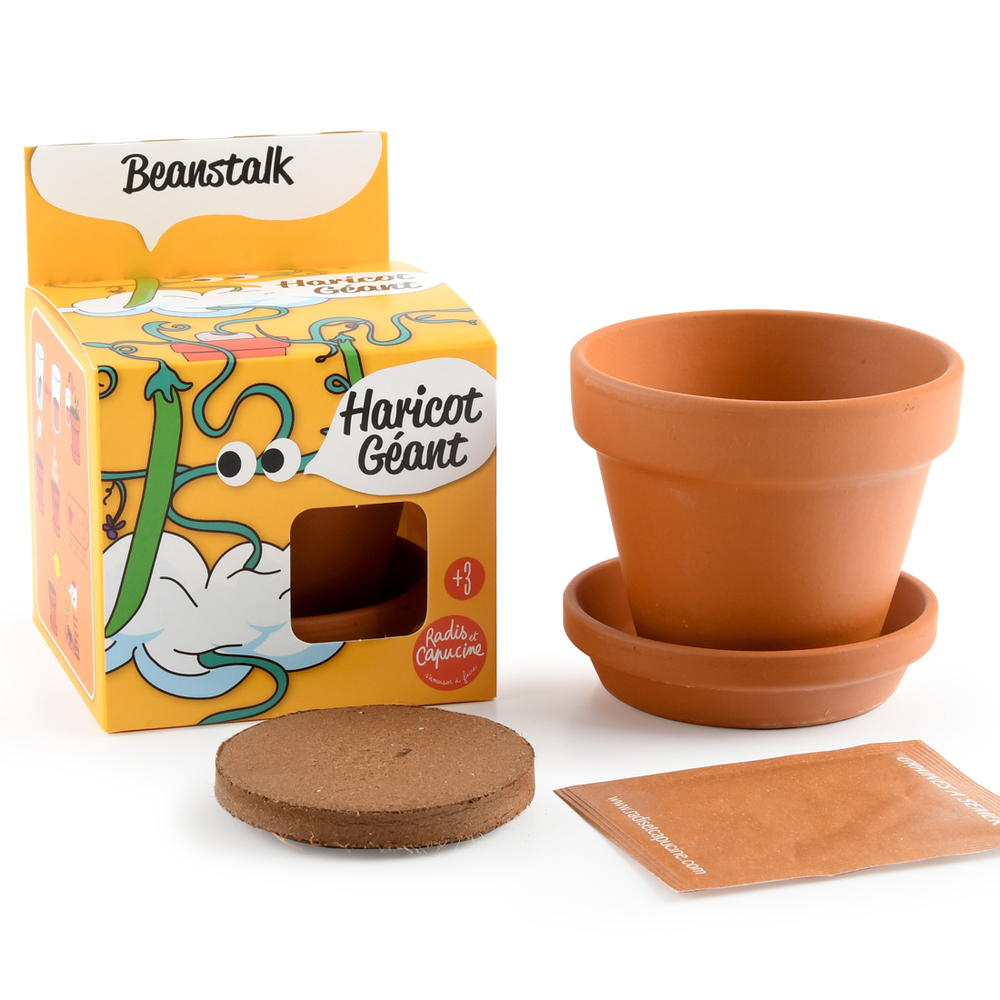 Kit de plantation pot en terre cuite Haricot géant - D.8cm