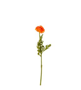 Plante artificielle 'Ranunculus', coloris orange - H.56cm