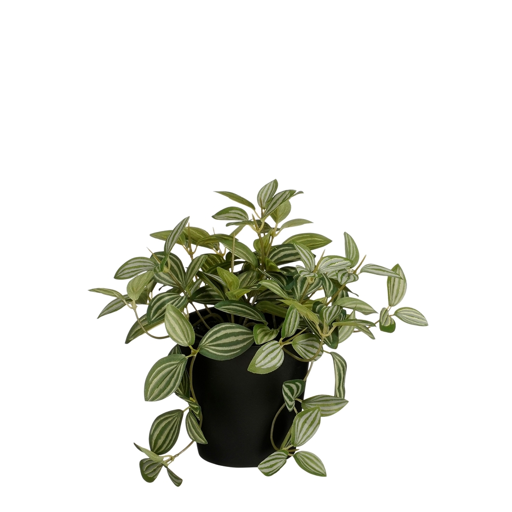 Plante artificielle en pot 'Tradescantia' - D.16cm