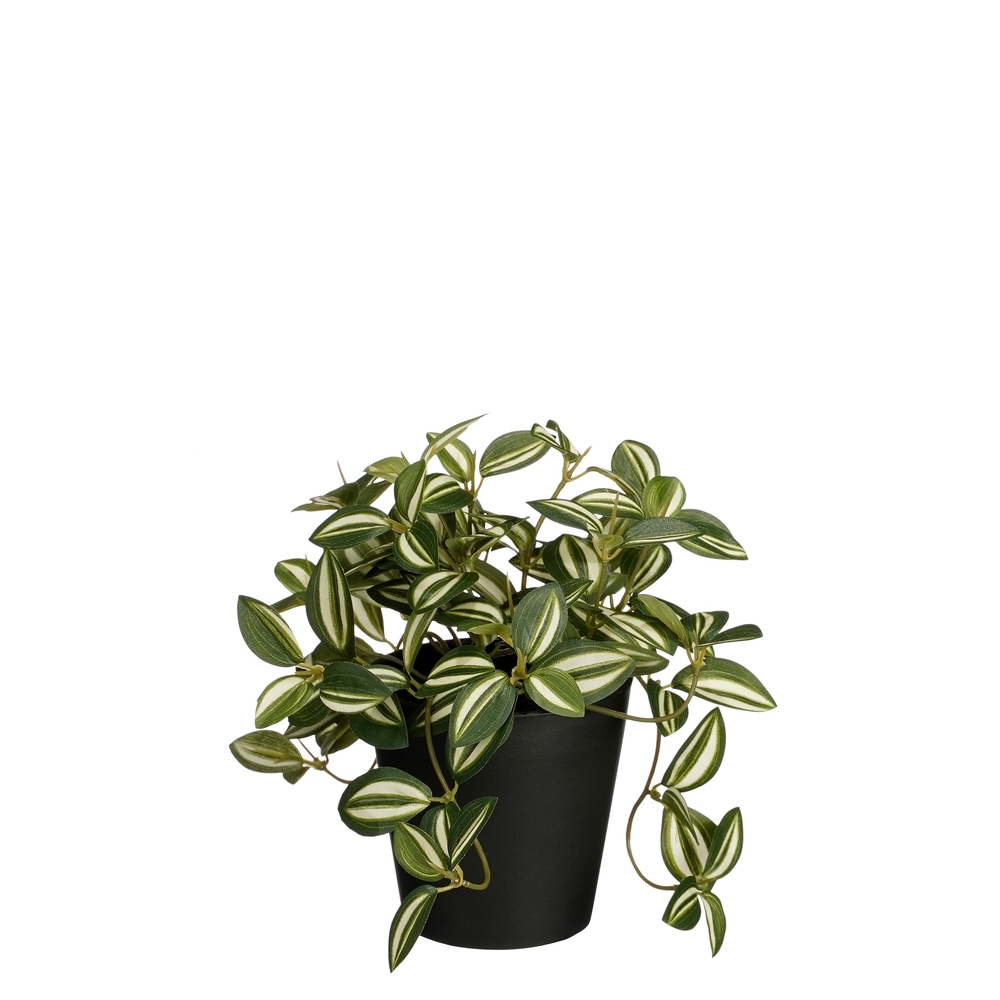 Plante artificielle en pot 'Tradescantia', coloris vert - D.16cm