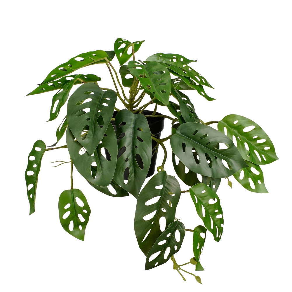 Plante artificielle retombante 'Monstera', coloris vert - L.40cm