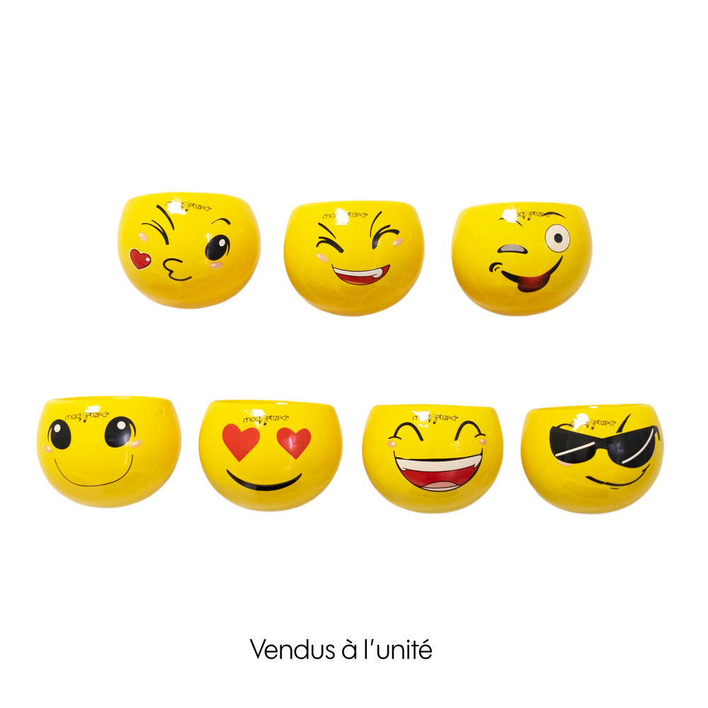 Cache-pot émoji magnétique, plusieurs modèles disponibles - D.8cm