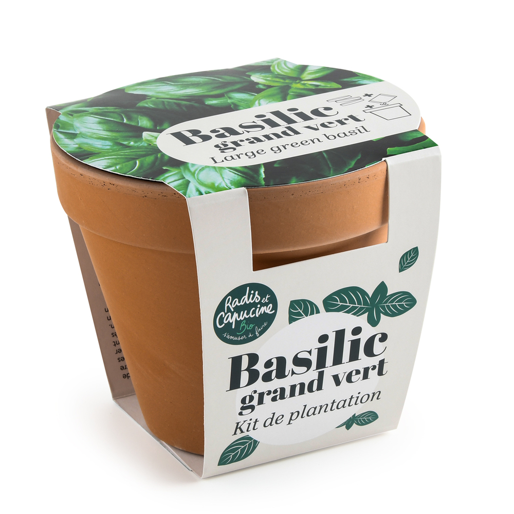 Kit de plantation, pot en terre cuite Basilic grand vert