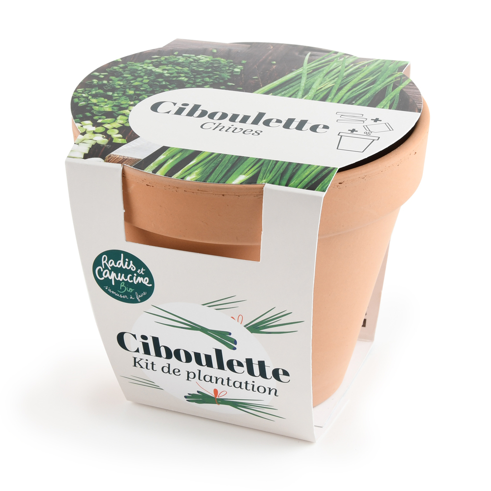 Kit de plantation, pot en terre cuite Ciboulette bio