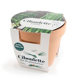 Kit de plantation, pot en terre cuite Ciboulette bio