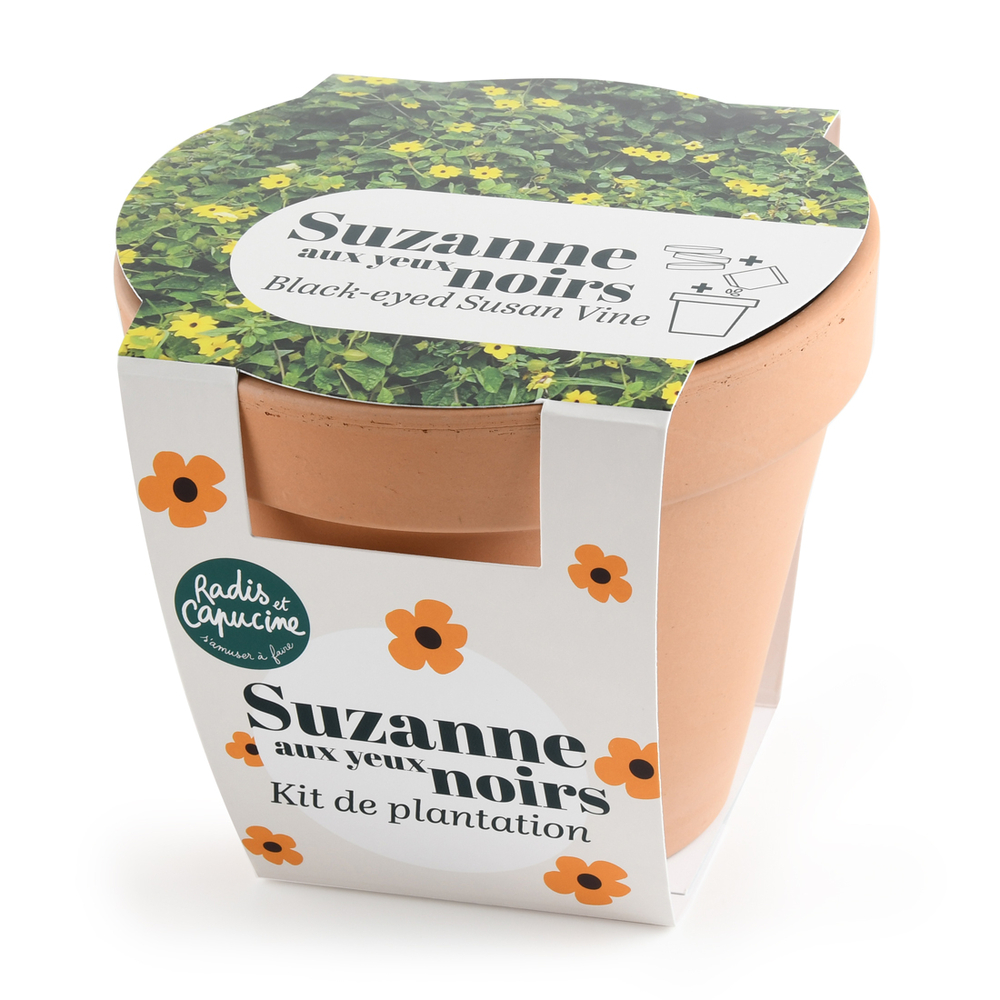 Kit de plantation, pot en terre cuite Suzanne aux yeux noirs