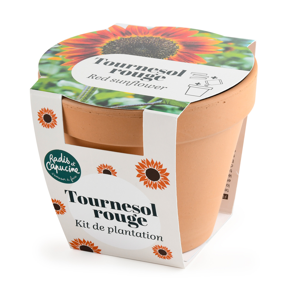 Kit de plantation, pot en terre cuite Tournesol rouge