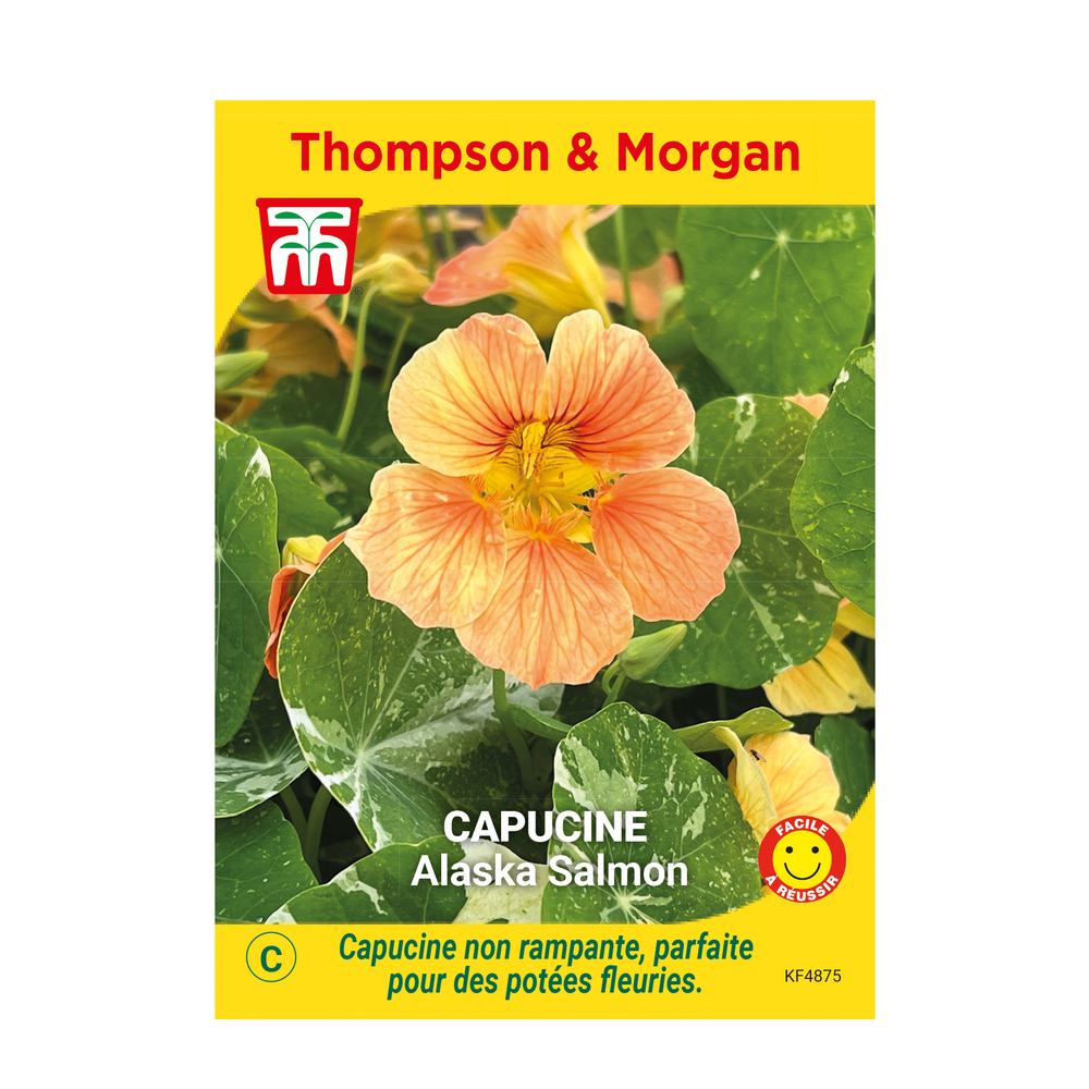 Graines - Capucine Alaska Saumon 