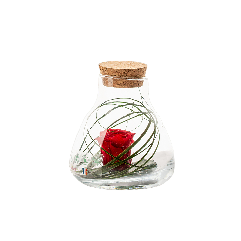 Verrine Laborantin rouge D.10,5cm 