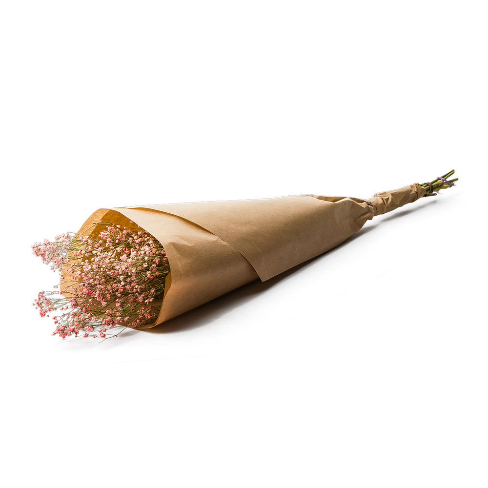 Botte de fleurs séchées : Gypsophile rose - H.50cm