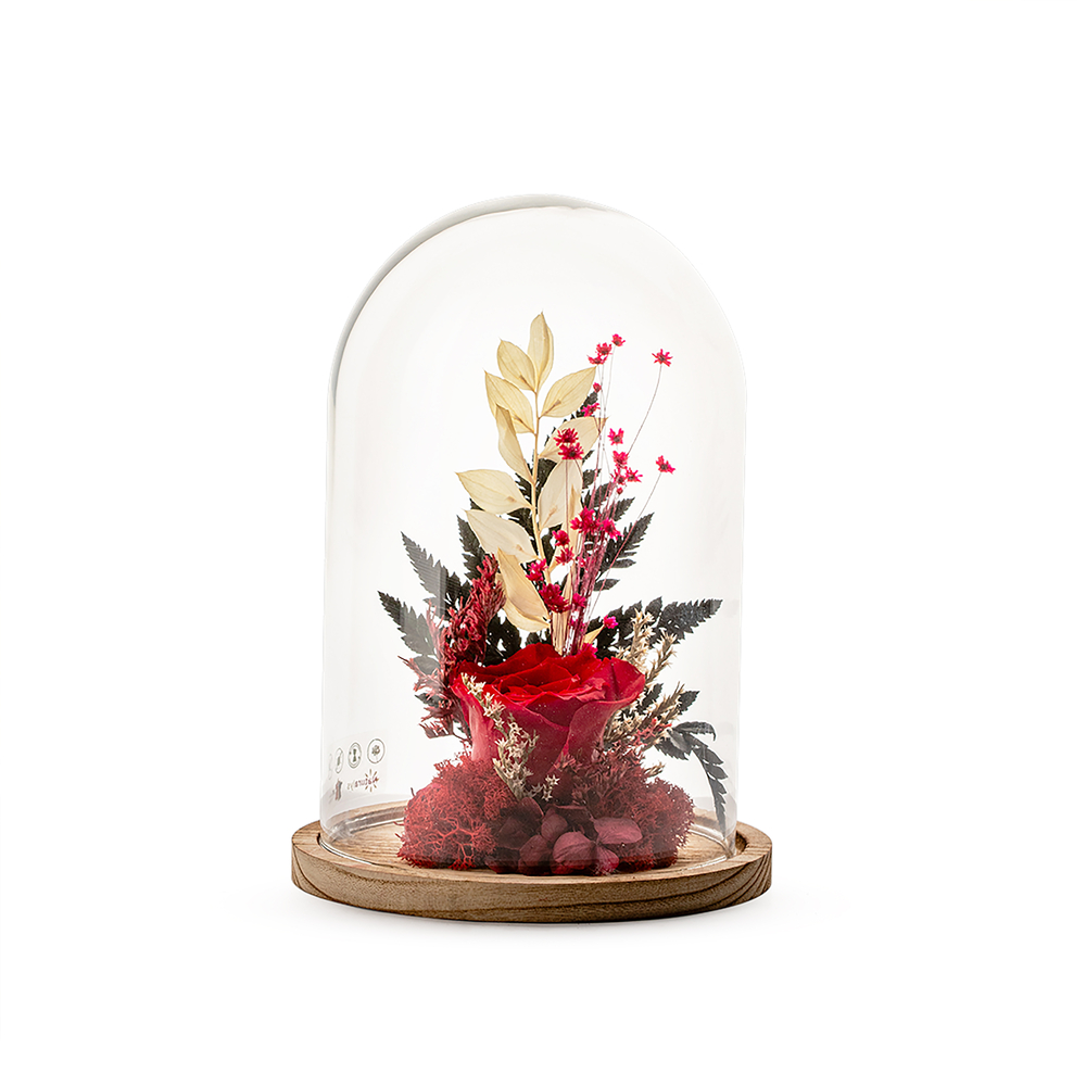 Verrine végétale stabilisée sous cloche Mix Rouge Ø.17 x H.25 cm