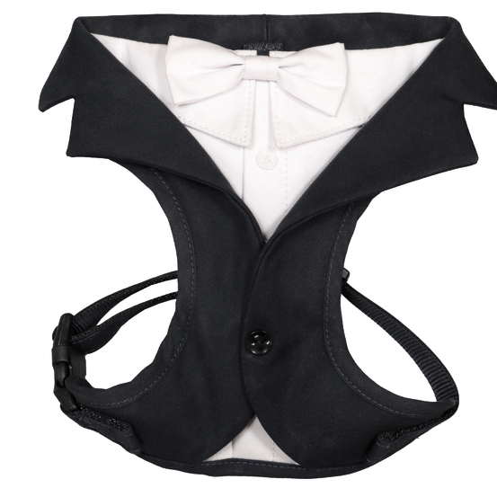 Harnais cérémonie pour chien noir XS
