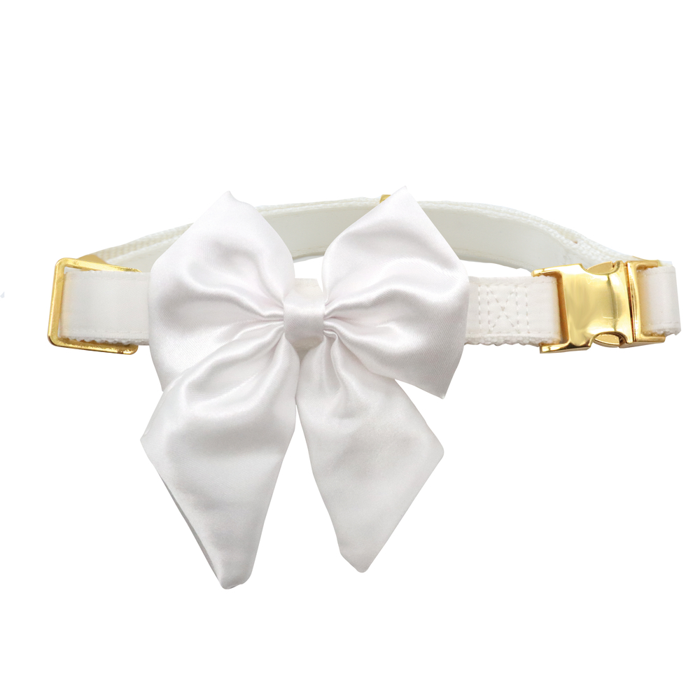 Collier chien pour mariage blanc L