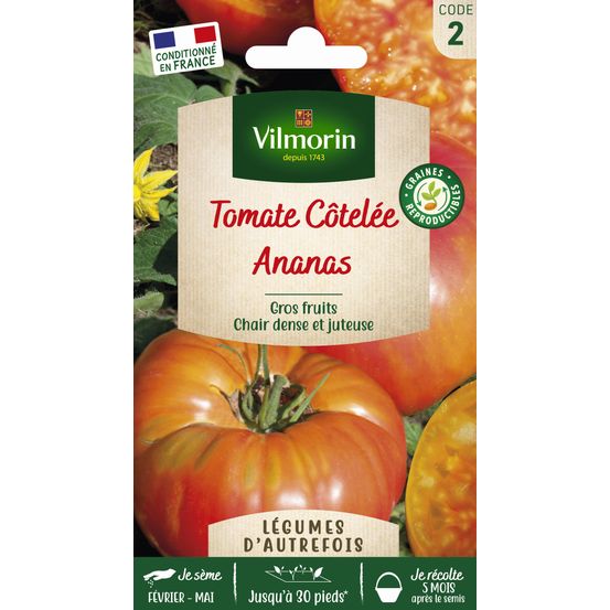Tomate Ananas