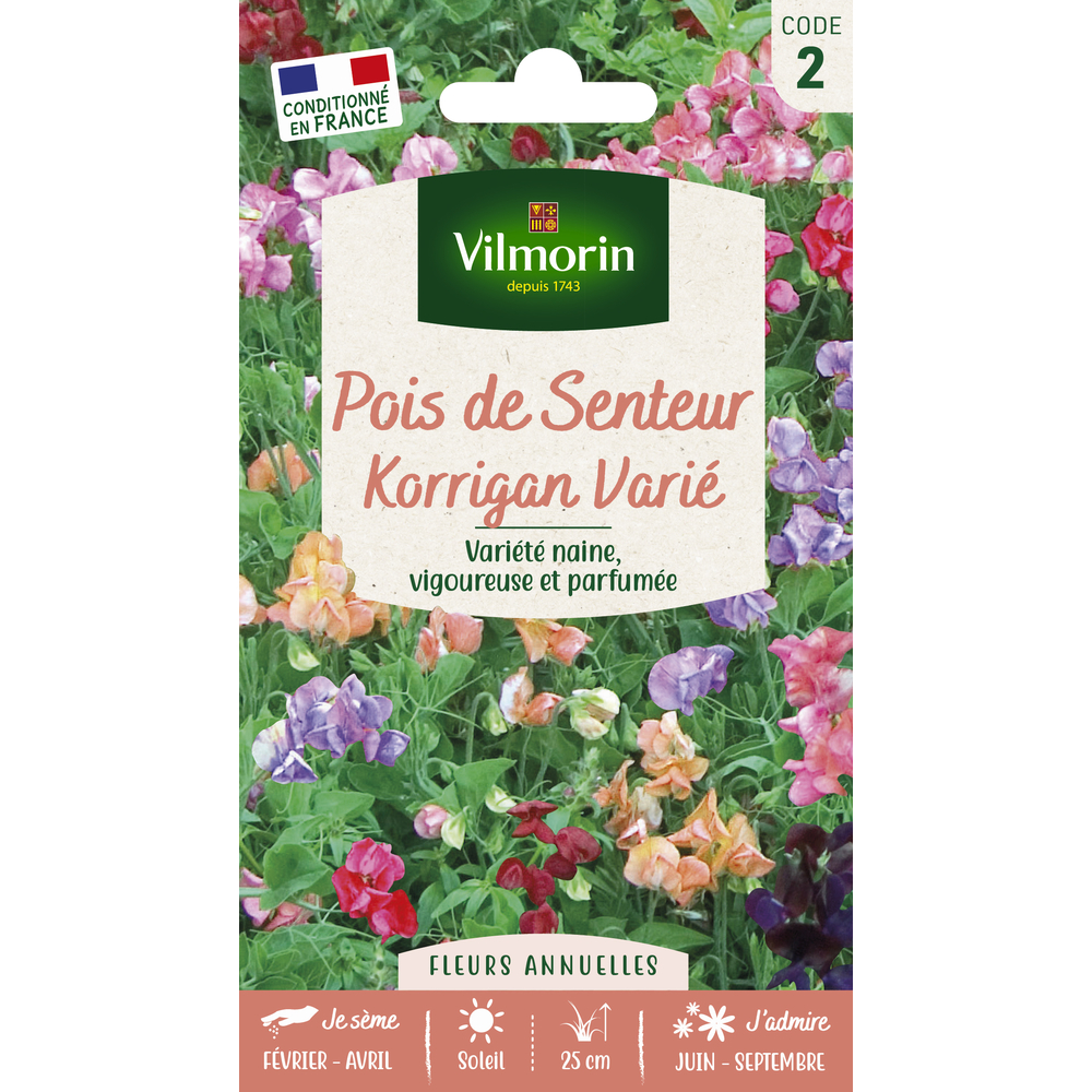 Pois de Senteur Korrigan varié