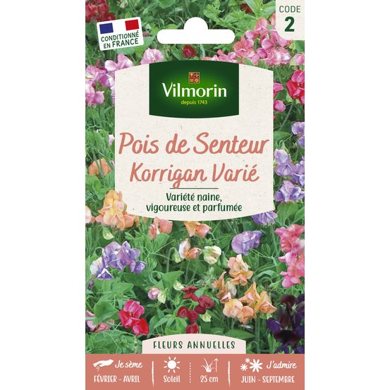 Pois de Senteur Korrigan varié