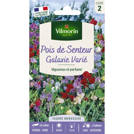 Pois de Senteur Galaxie Varié