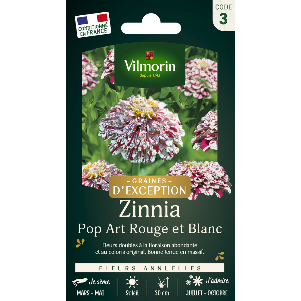 Zinnia Pop Art rouge et blanc