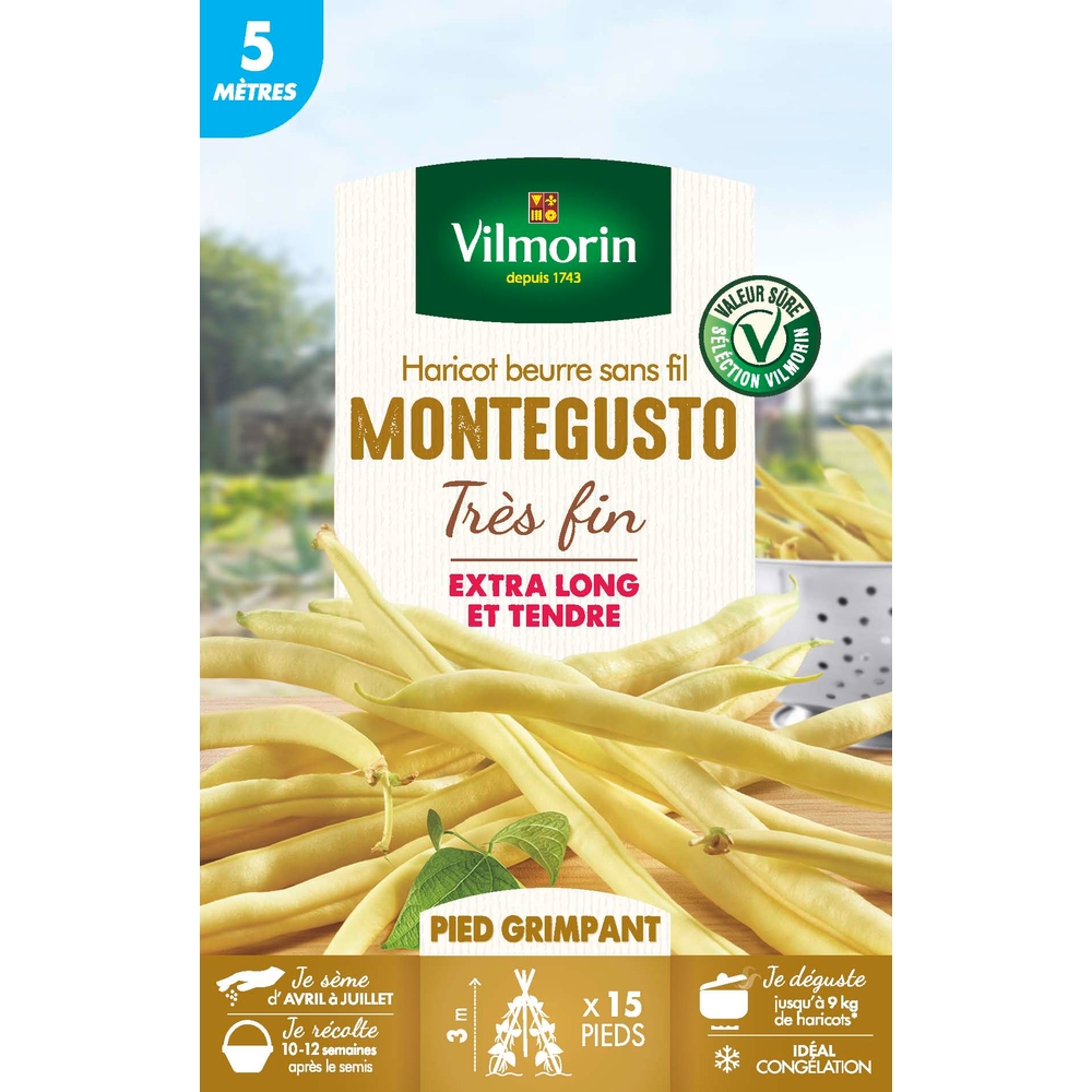 Haricot beurre sans fil Montegusto très fin - 5M