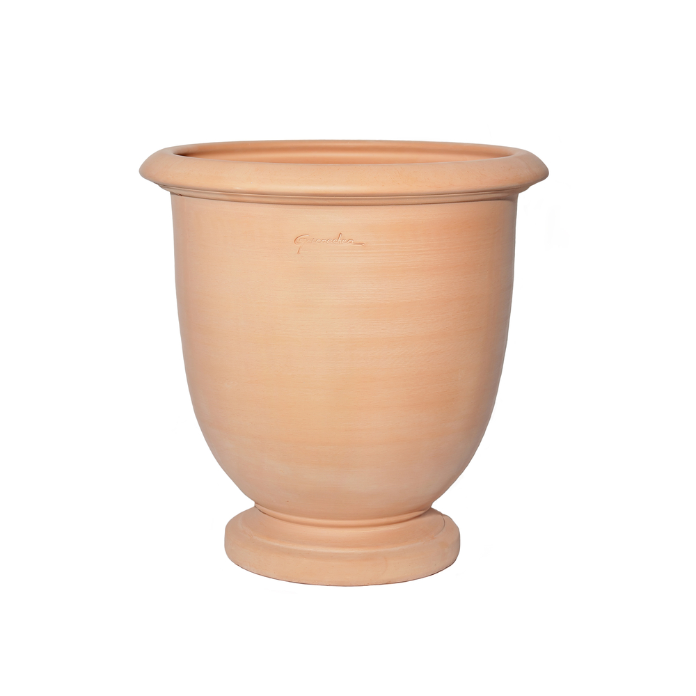 Coupe Ederra D.22xH.22cm