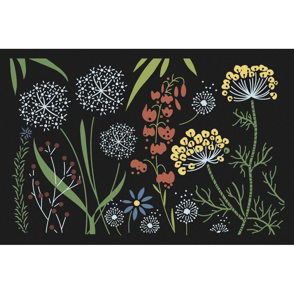 Paillasson d'intérieur 'Access champêtre', coloris noir - L.60xl.40cm