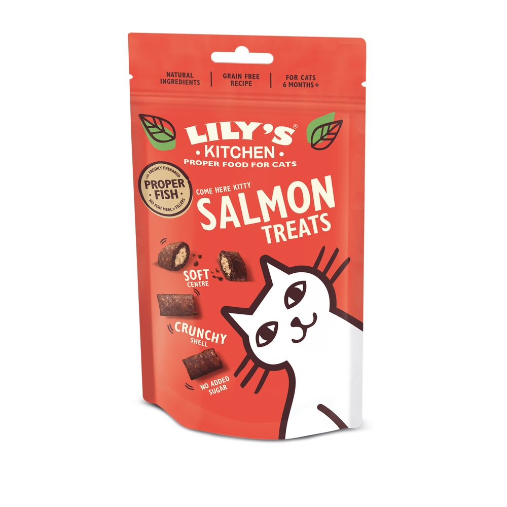 Friandises Lily's Kitchen au saumon pour chat 60 g