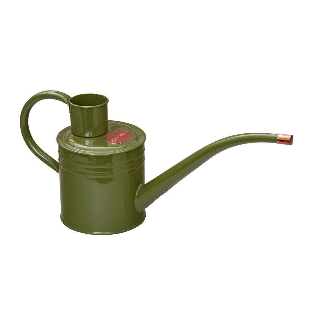 Petit Arrosoir 1L - coloris vert