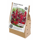 Assortiment de bulbes à fleurs : Respect Nature Rouge velours x15