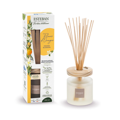 Bouquet parfumé et sa recharge - Fleurs d'oranger 200 ml