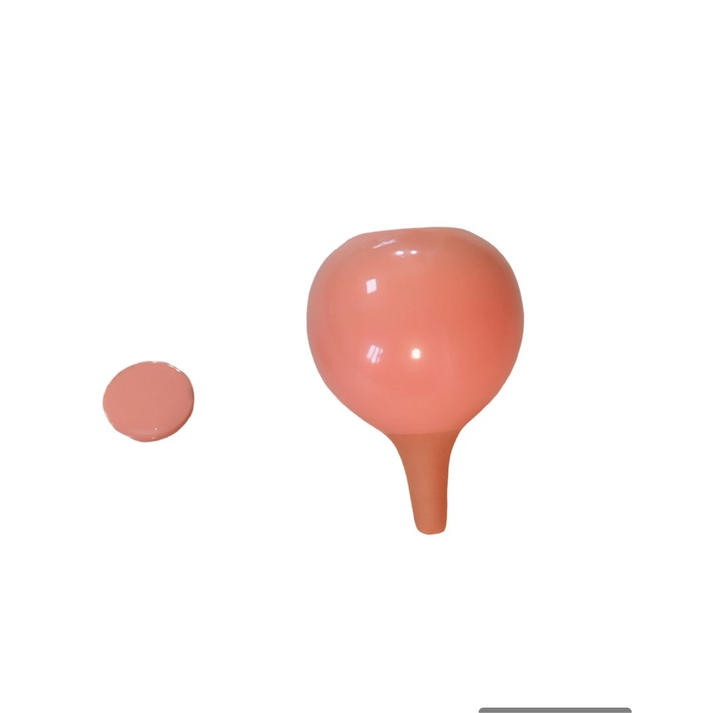 Olla à planter, réserve d'eau pour irrigation, coloris pêche - 40cl