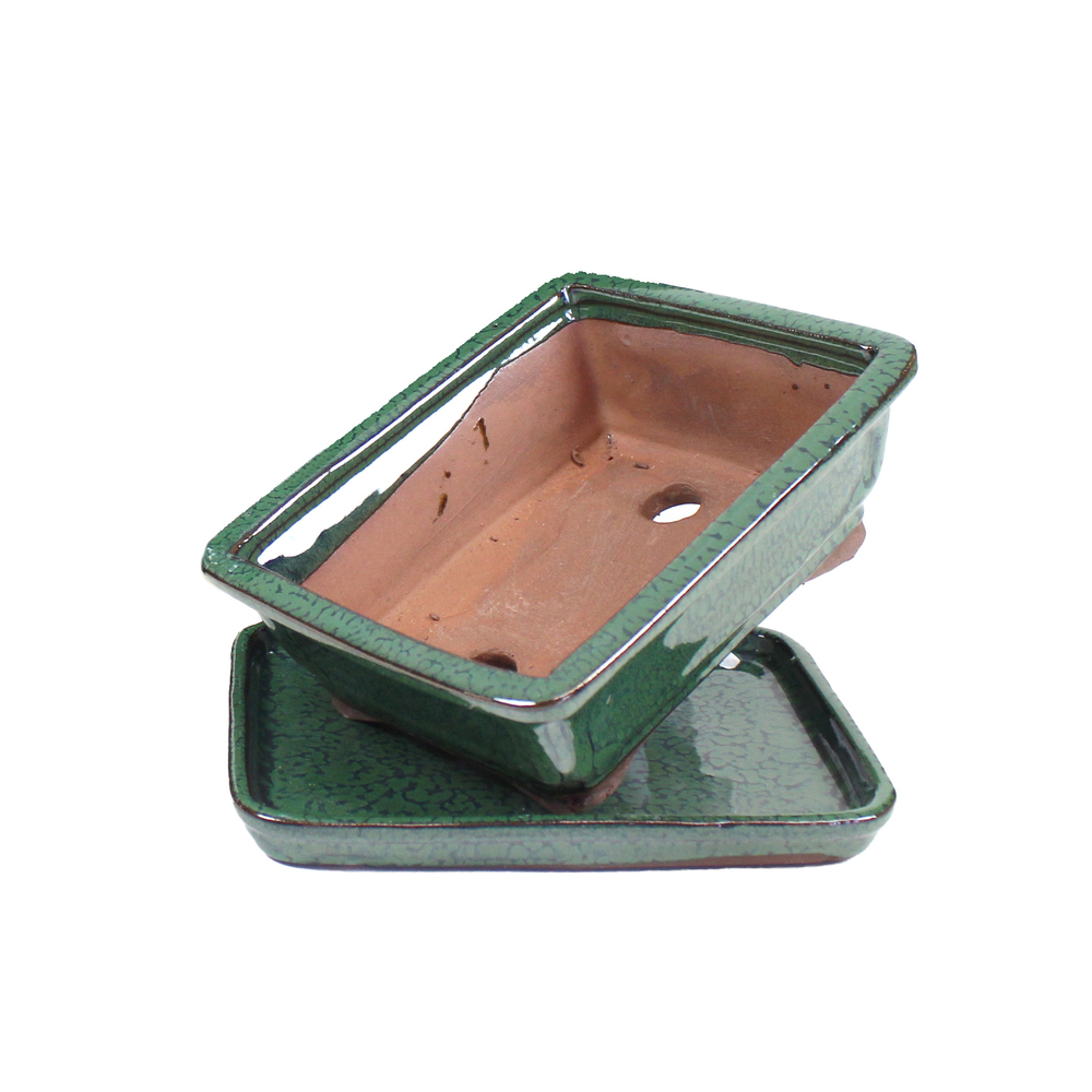 Pot Basic pour bonsaï avec plateau en céramique, coloris vert - 20cm