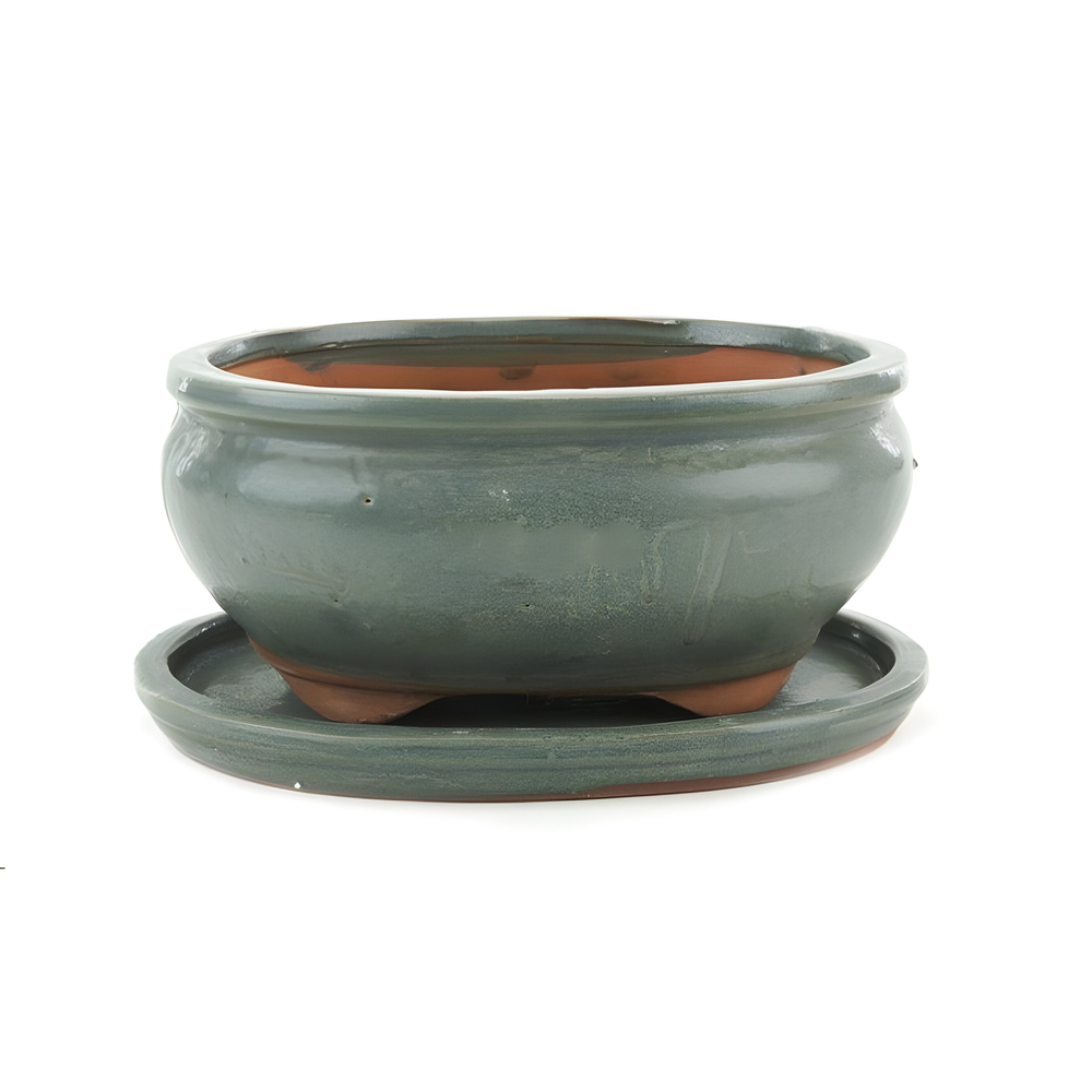 Pot ovale pour bonsaï avec plateau en céramique, coloris gris - 15cm