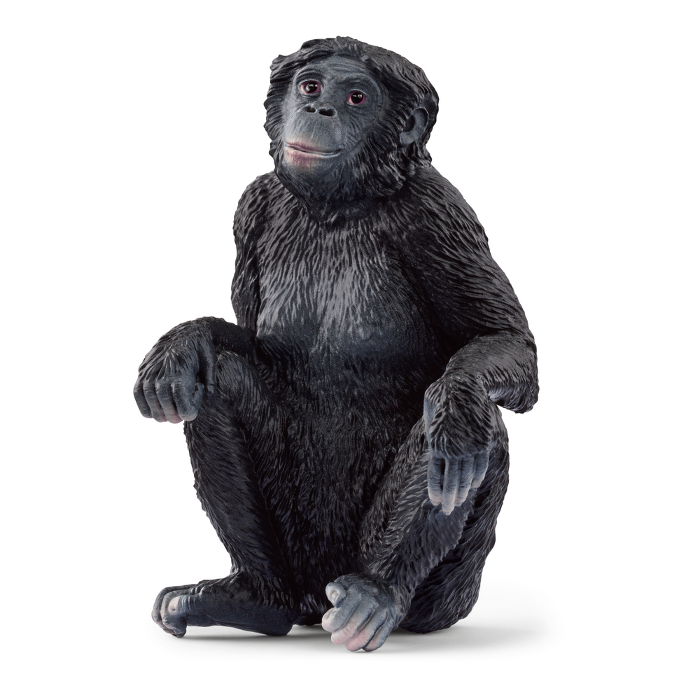  Figurine en plastique Bonobo femelle L. 4.2 l. 4.0 H. 6.0cm