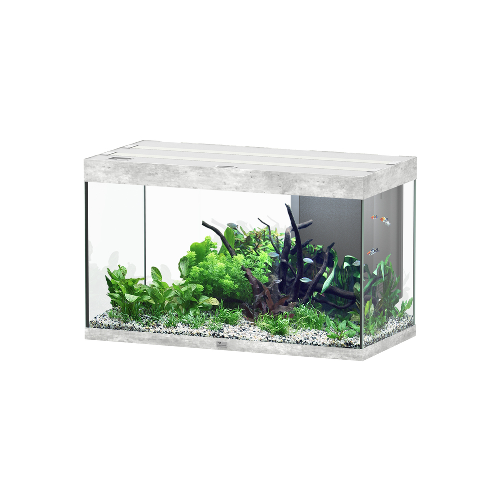 Aquarium équipé Sublime Led 2.0, coloris Béton 100x50x60cm