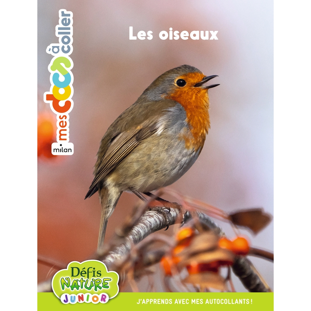 Livre pour enfant, mes docs à coller, les oiseaux
