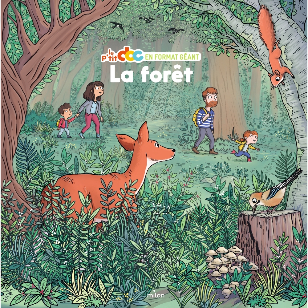 Livre pour enfant, le p'tit doc : la forêt - Format géant