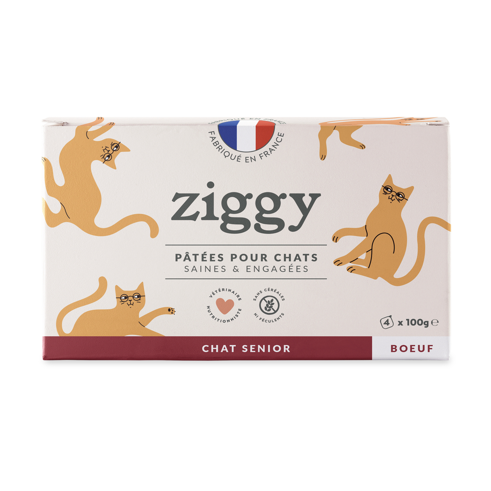 Pâtée pour chat sénior au boeuf 4x100g