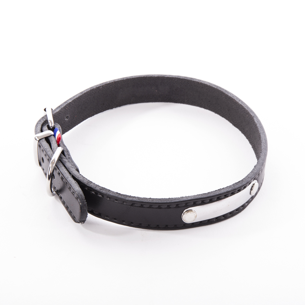 Collier Rive pour chien, coloris noir - 12/35cm