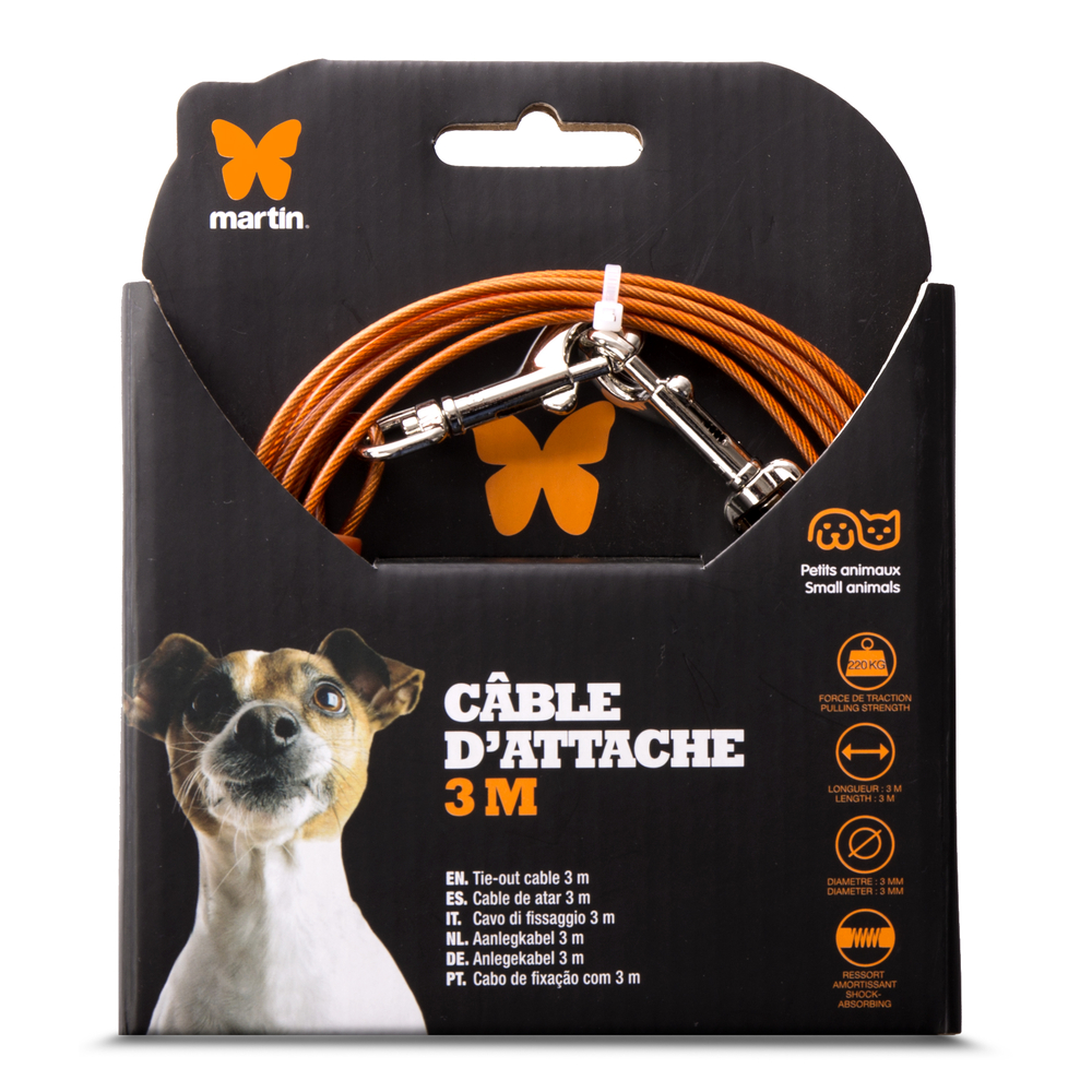 Câble d'attache pour petits chats et chiens - 3m