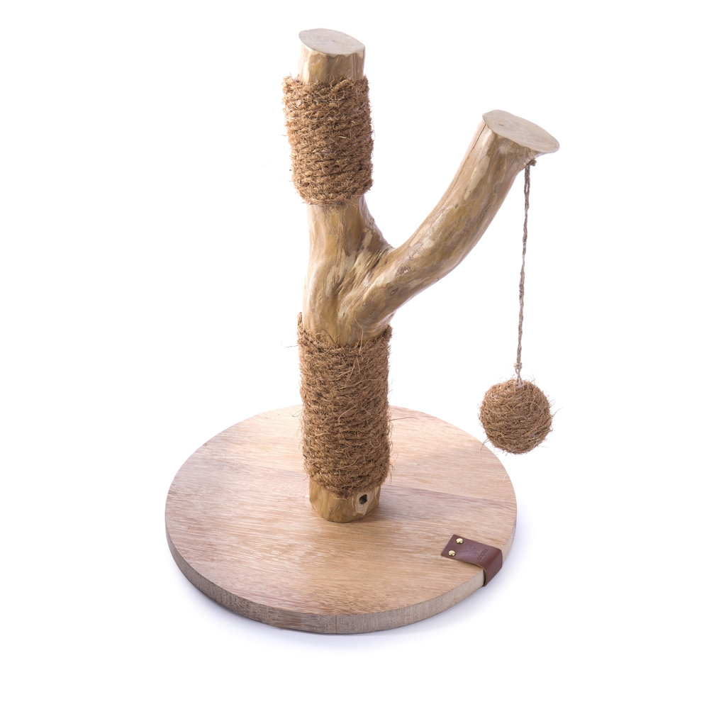 Griffoir Cafeier pour chaton 42cm