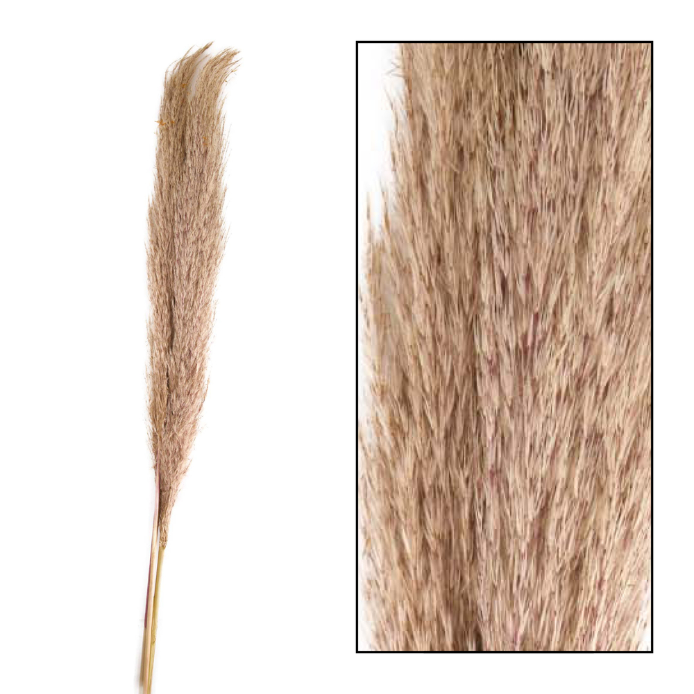 Pampa Kyan - H.100-115cm - 3 pièces