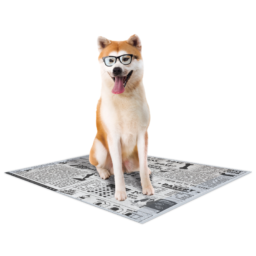 Tapis hygiéniques - Nappy newspaper pour chien - 57x54cm 30 pièces