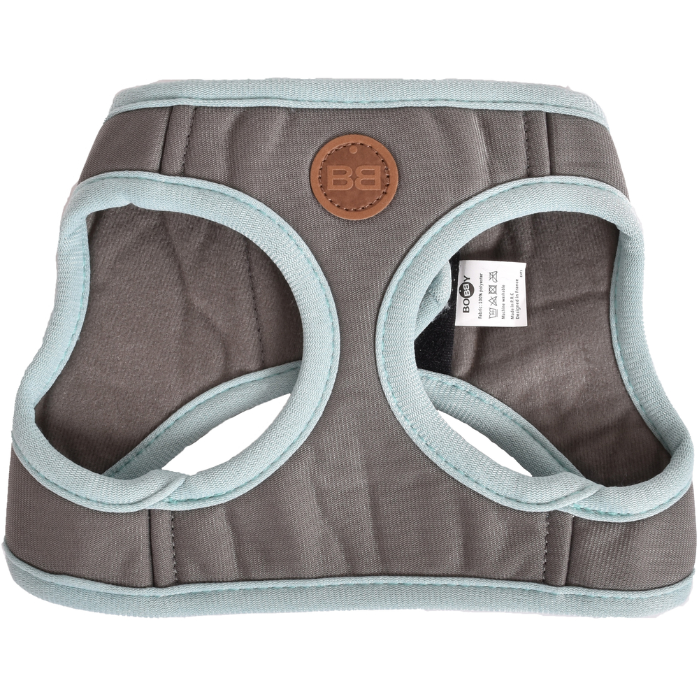 Pack pour chat : harnais mini et laisse 'Stripe', coloris lagon