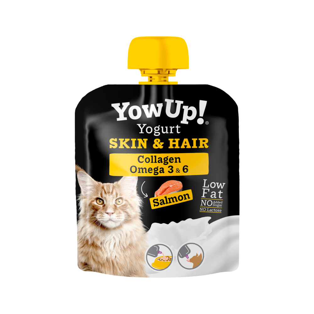 Yaourt pour chat au saumon, entretien de la peau et du pelage - 85g