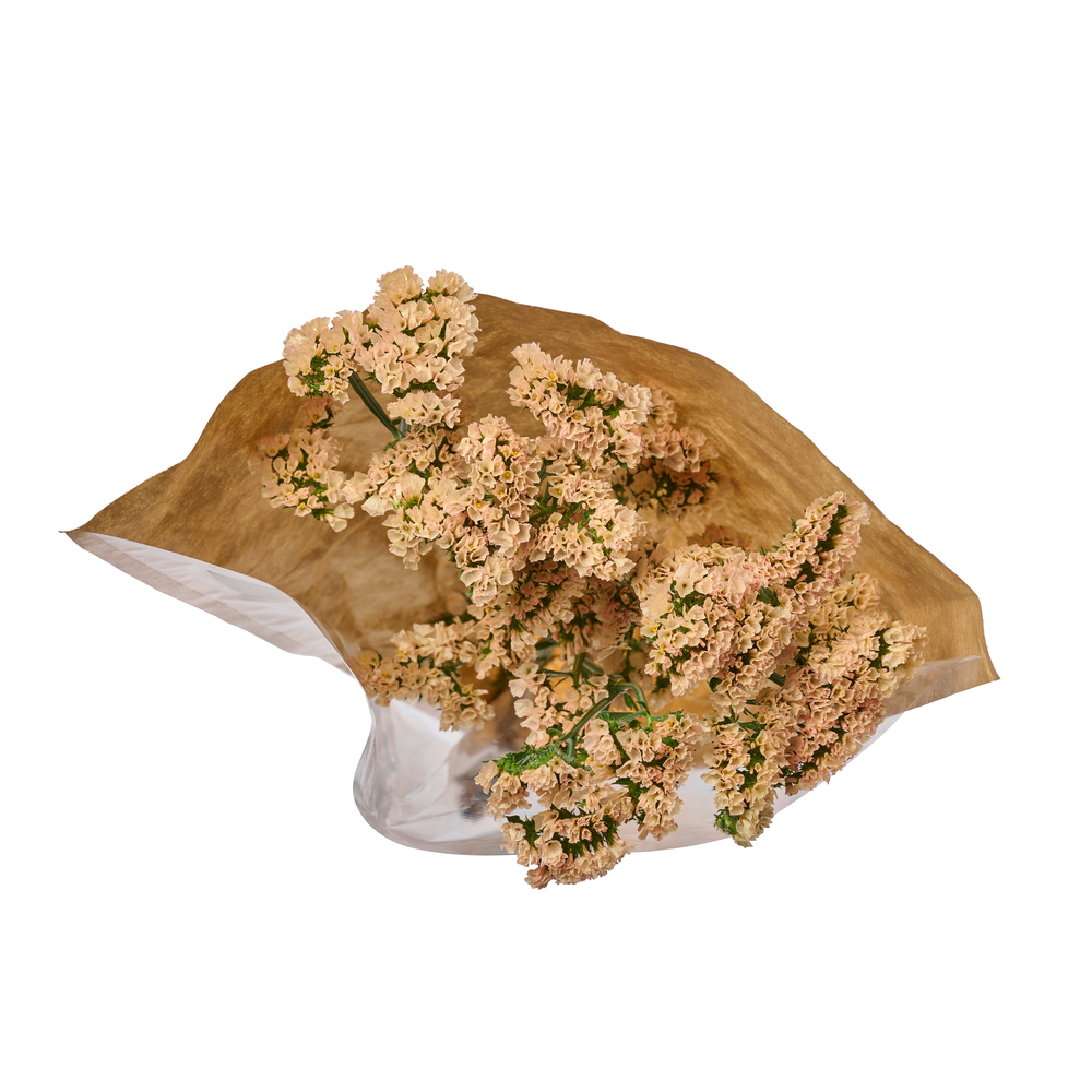 Botte de 5 Statices sinuata - Coloris saumon H.50cm