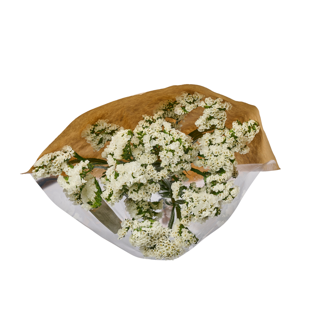 Botte de 5 Statices sinuata - Coloris blanc H.50cm