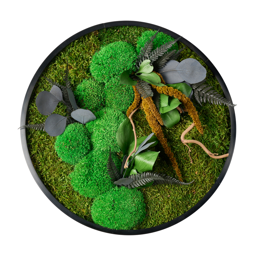 Tableau Stabilisé Rond Dewapur - D.35cm